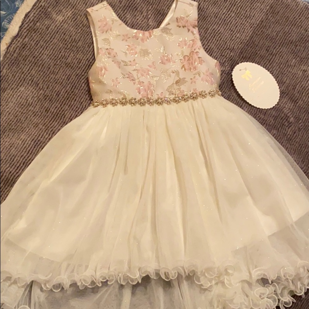 American Princess dress NWT